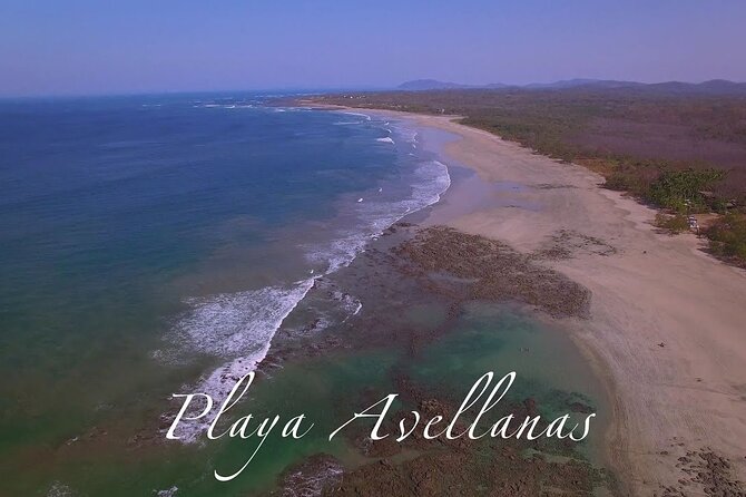 Shuttle From Liberia Airport To Playa Avellanas - Service Inclusions