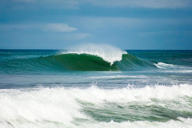 Shuttle From Liberia Airport to Playa Del Coco and Playa Hermosa - Service Details