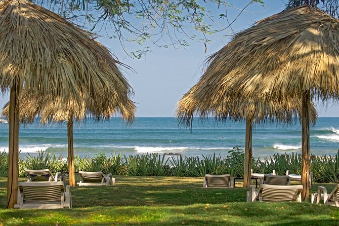 Shuttle From Liberia Airport to Playa Tamarindo and Playa Flamingo - Booking Details