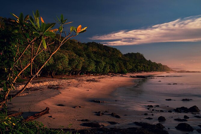 Shuttle From San Jose Airport To Santa Teresa Beach - Costa Rica - Pickup and Drop-off