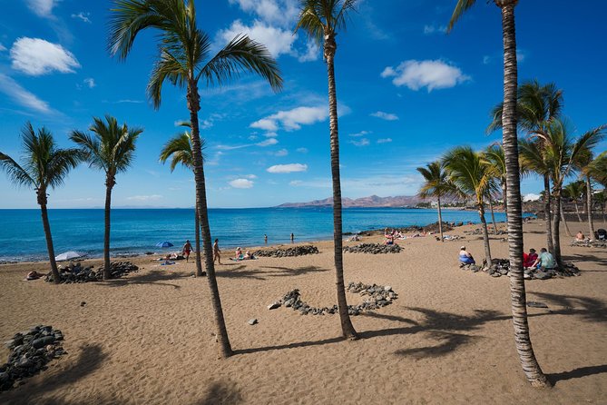 Shuttle Service From Liberia Airport To Playa Grande Costa Rica - Meeting and Pickup