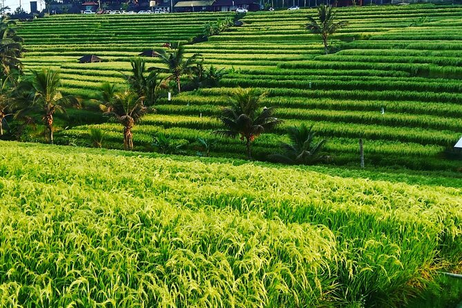 Sightseeing to Ulundanu Temple, Banyumala Waterfall & Tanah Lot - Inclusions and Exclusions