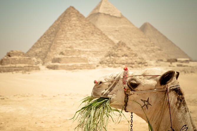 Sightseeing Tour Visit Giza Pyramids, Egyptian Museum From Bahariya Oasis