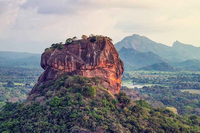 Sigiriya Rock and Wild Elephant Safari From Polonnaruwa - What To Expect
