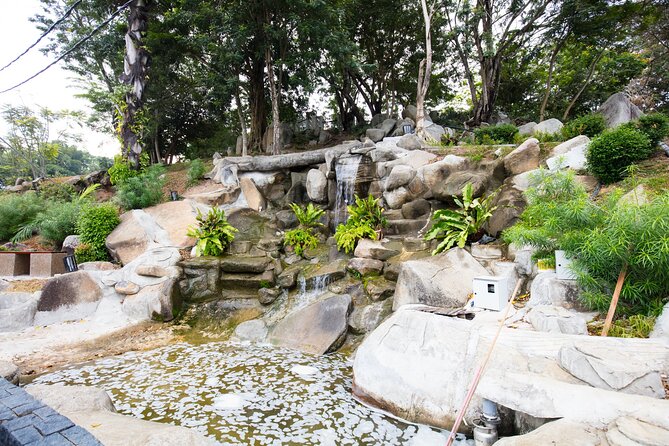 Silver Leaf Monkeys and Firefly Tour in Kuala Lumpur - Transportation Details