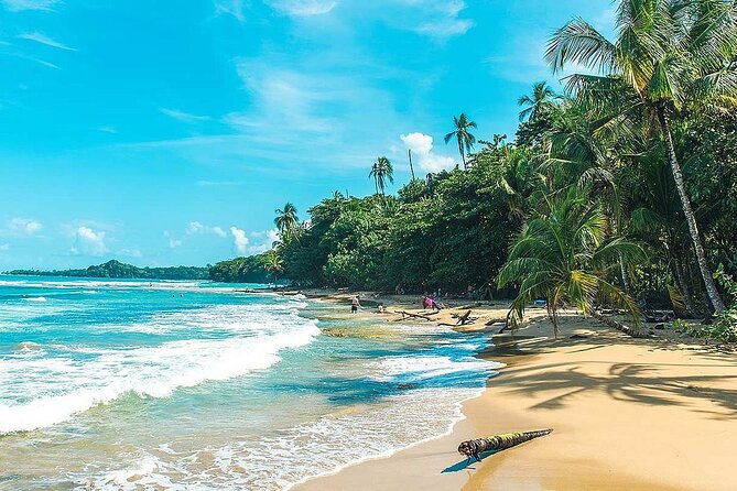 SJO Private Shuttle to Puerto Viejo - Additional Information