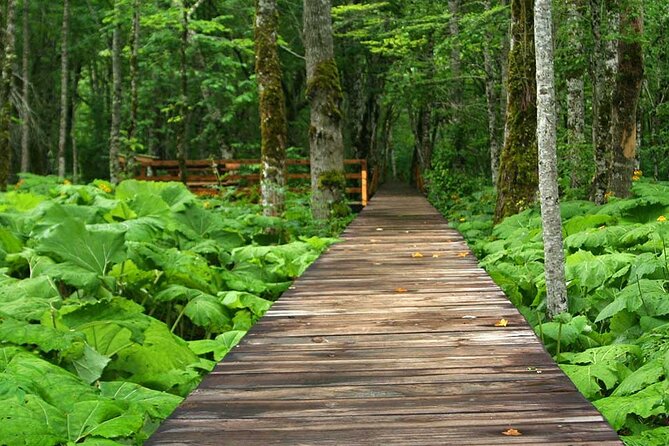 Skip the Line Tickets: National Park Biogradska Gora - Meeting and Departure Points