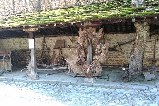 Skip the Line: Tour in Open Air Ethnographic Museum ETAR + Ticket - Insight Into 18th and 19th Century Life