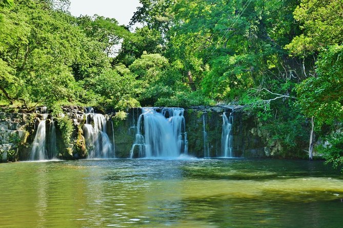 Sloth Adventure From Guanacaste - Adventure Highlights