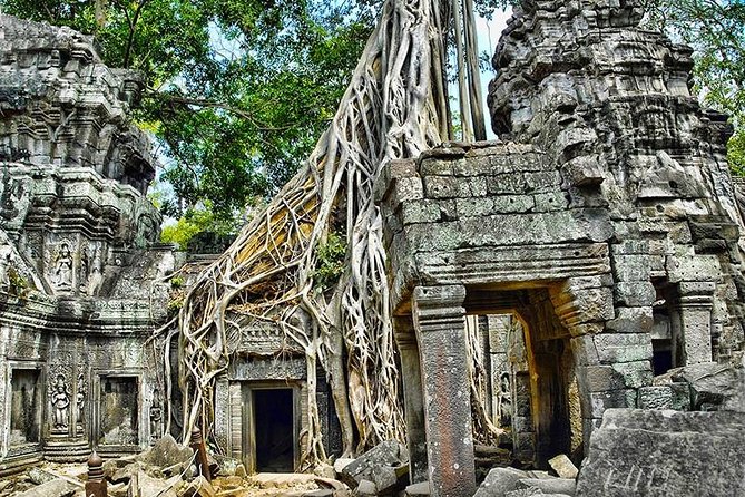 Small Group Angkor Wat Day Tour - Tour Overview