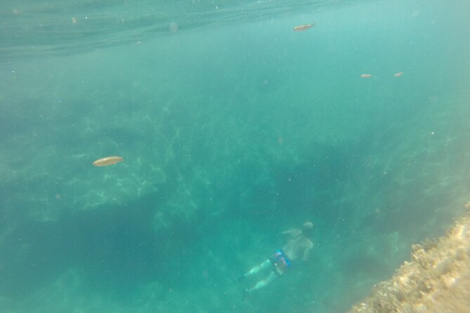 Snorkel Tour - S. Jorge