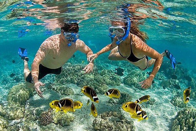 Snorkeling at Blue Lagoon and The Rock Restaurant - Pickup Information