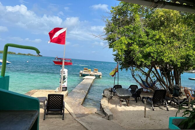Snorkeling Explorer Tour - Lunch Options and Refreshments