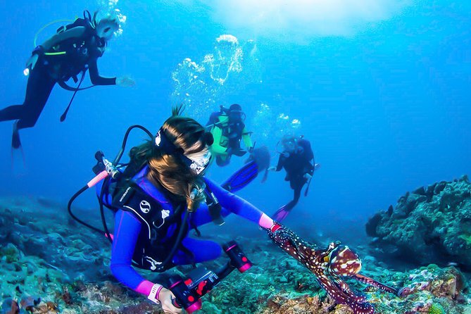Snorkeling in Bar Reef Marine Sanctuary - Snorkeling Equipment Provided
