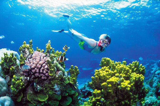 Snorkeling in Coral Island, Trincomalee - Activity Overview