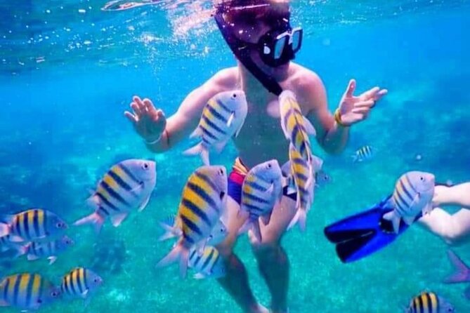 Snorkeling, Sloth in the Wild West Bay Beach City Tour - Encountering Sloths