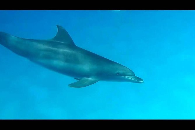 Snorkeling Trip At Sharm El Naga Bay From El Gouna - Location Details