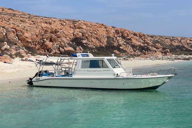 Snorkeling Trips to Daymaniat Island - Transportation Options