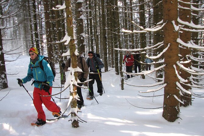 Snowshoe Tour on the Schliersee - Cancellation Policy