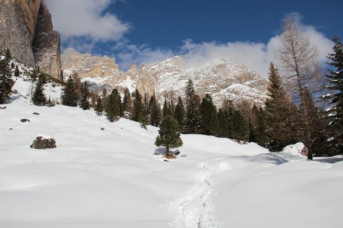 Snowshoeing in Cortina Dampezzo - Cancellation Policy Details