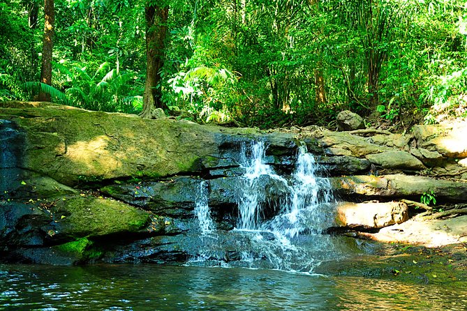 Soberania National Park Day Trip From Panama City - Inclusions