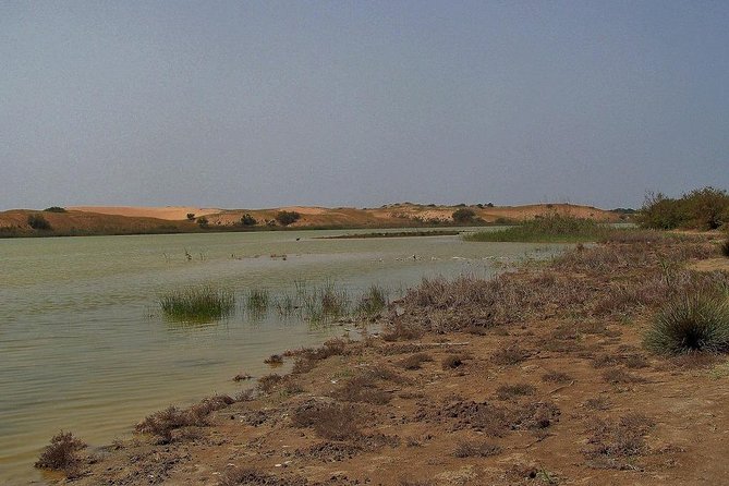 Souss Massa National Park From Agadir - Wildlife and Nature Exploration