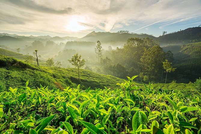 South India Tour in 06 Nights