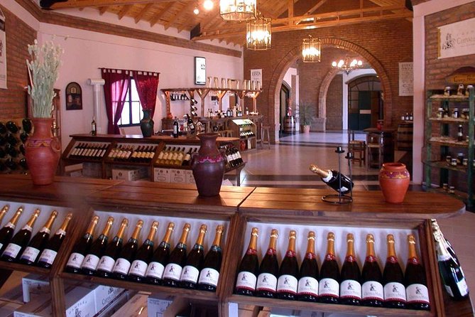 South Wine Routes, San Juan - Half Day Tour - Wine Tasting Experience