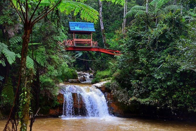 Special Cameron Highlands ~ Day Tour;Solo;Couple;Group - Pickup Information