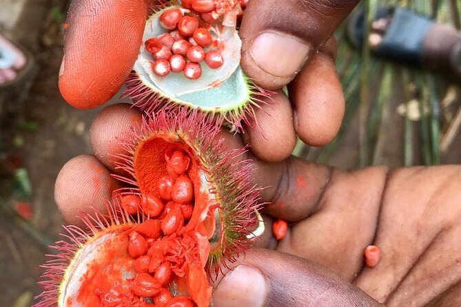 Spice Tour; Stone Town Tour; Island Pongwe Restaurant; Baraka Aquarium; Kendwa - Island Pongwe Dining Experience