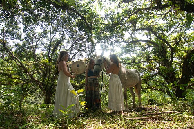 Spirit of the Horse Unique Experiences With Horses