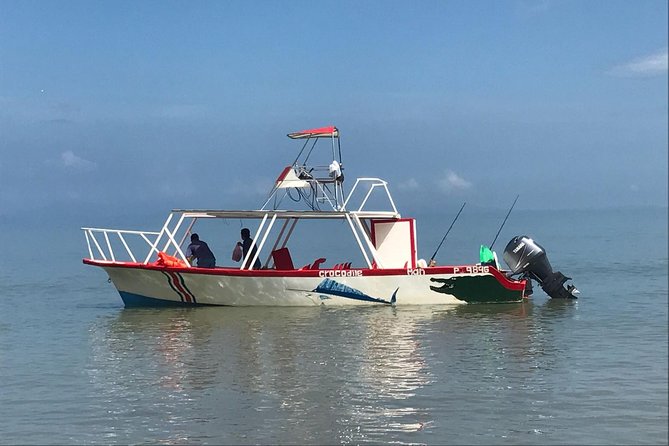 Sport Fishing Private Full-Day Tour From San Jose - Inclusions of the Tour