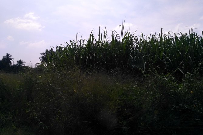 Srirangapatna & Mysore