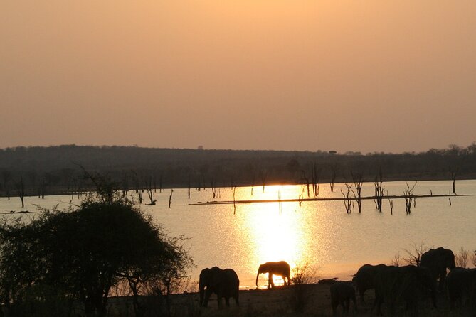 Star Gazing in Victoria Falls - Pickup and Accessibility