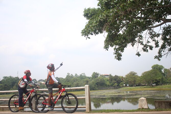 Suburbia Cycling Adventure Surrounding Wetlands and Temples – Colombo Outskirts - Wetland Exploration