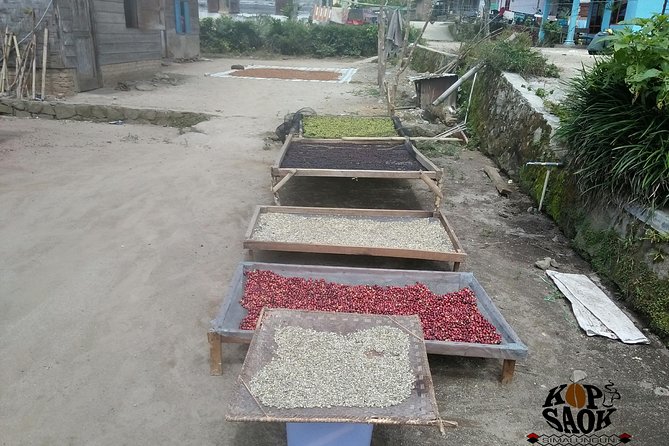 Sumatra Coffee Tour - Tour Overview