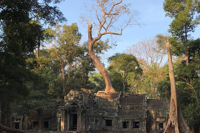 Sunrise Angkor Wat Private Tour - Reviews
