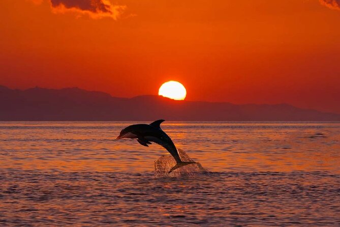Sunrise Dolphins Watching Breakfast Taormina Bay - Meeting Point