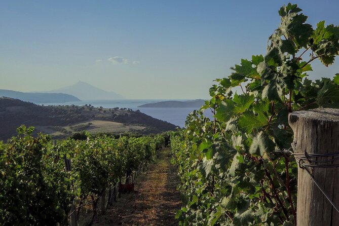 SUNSET at the VINEYARD From Ouranoupolis - Important Info