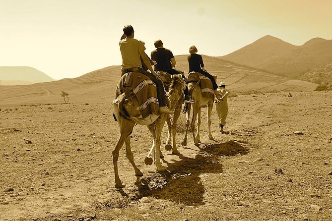 Sunset Camel Ride Experience in Marrakech Desert - Experience the Magic of Sunset Camel Ride