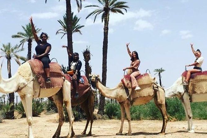 Sunset Camel Ride in Marrakech Desert - Accessibility Details