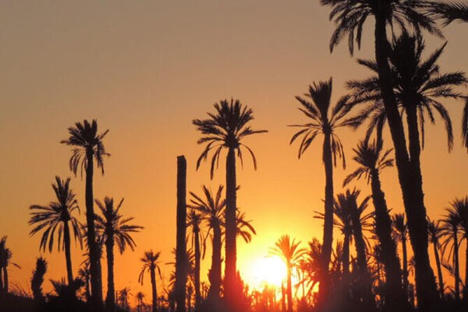 Sunset Camel Ride in the Palmerai of Marrakesh - Start Time: 06:00 Pm