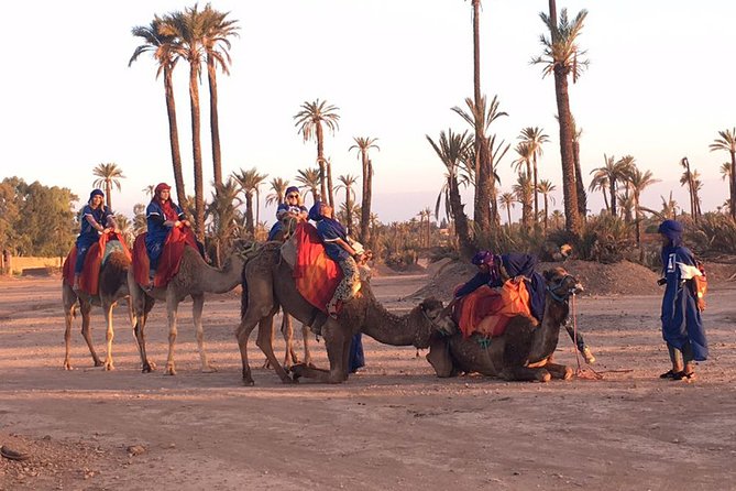 Sunset Camel Ride in the Palmeraie Oasis
