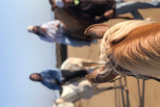 Sunset Horseback Riding in Banana Beach - Activity Details