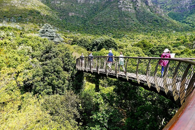 Table Mountain, Kirstenbosch & Constantia Full Day Private Tour - Itinerary Overview