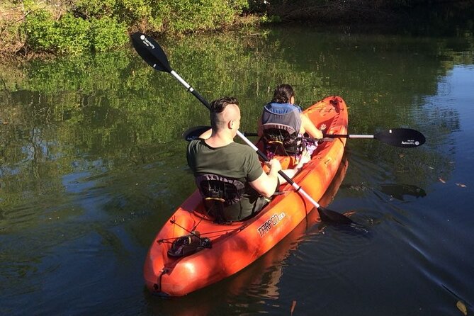 Tamarindo River Guided Kayak Mangrove & Environment Watching Tour in Guanacaste - Inclusions
