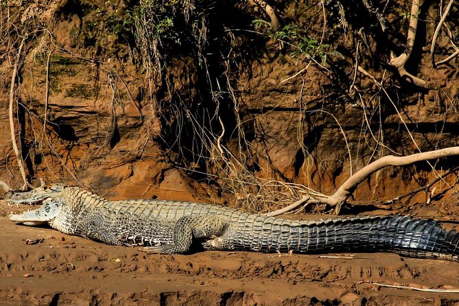 Tambopata Reserve Excursion 3D - 2N From Cusco - Customer Reviews