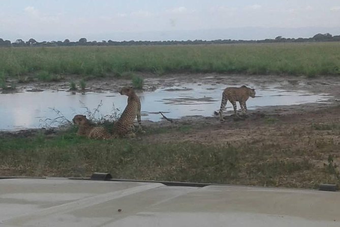 Tanzania Safaris | 3 DAYS SAFARI - L.Manyara NP,Tarangire NP& Ngorongoro Crater. - Pickup Details