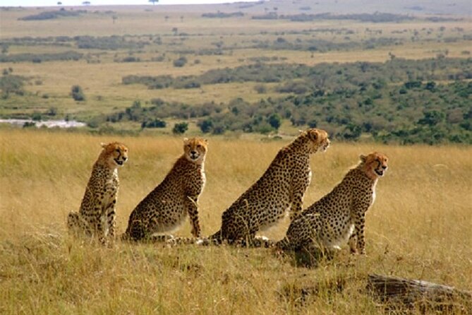 Tanzania Serengeti & Zanzibar 9 Days Holiday - Accommodation Details