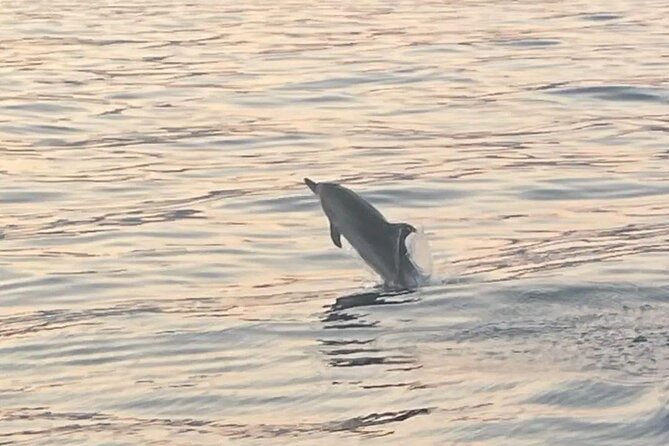 Taormina Dolfin 2-Hour Boat Tour - End Point